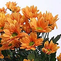 Цветок в срезке