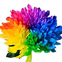 Цветок в срезке