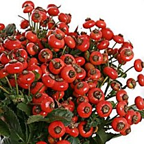 Цветок в срезке